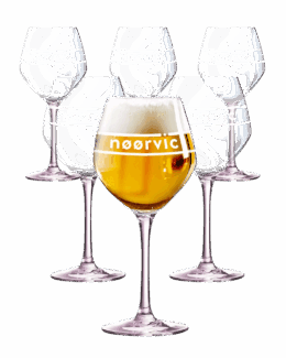 Carton de 6 Verres Nøørvic 33cl